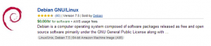 debian amazon instance