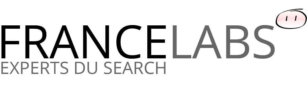 Blog of France Labs on Search technologies